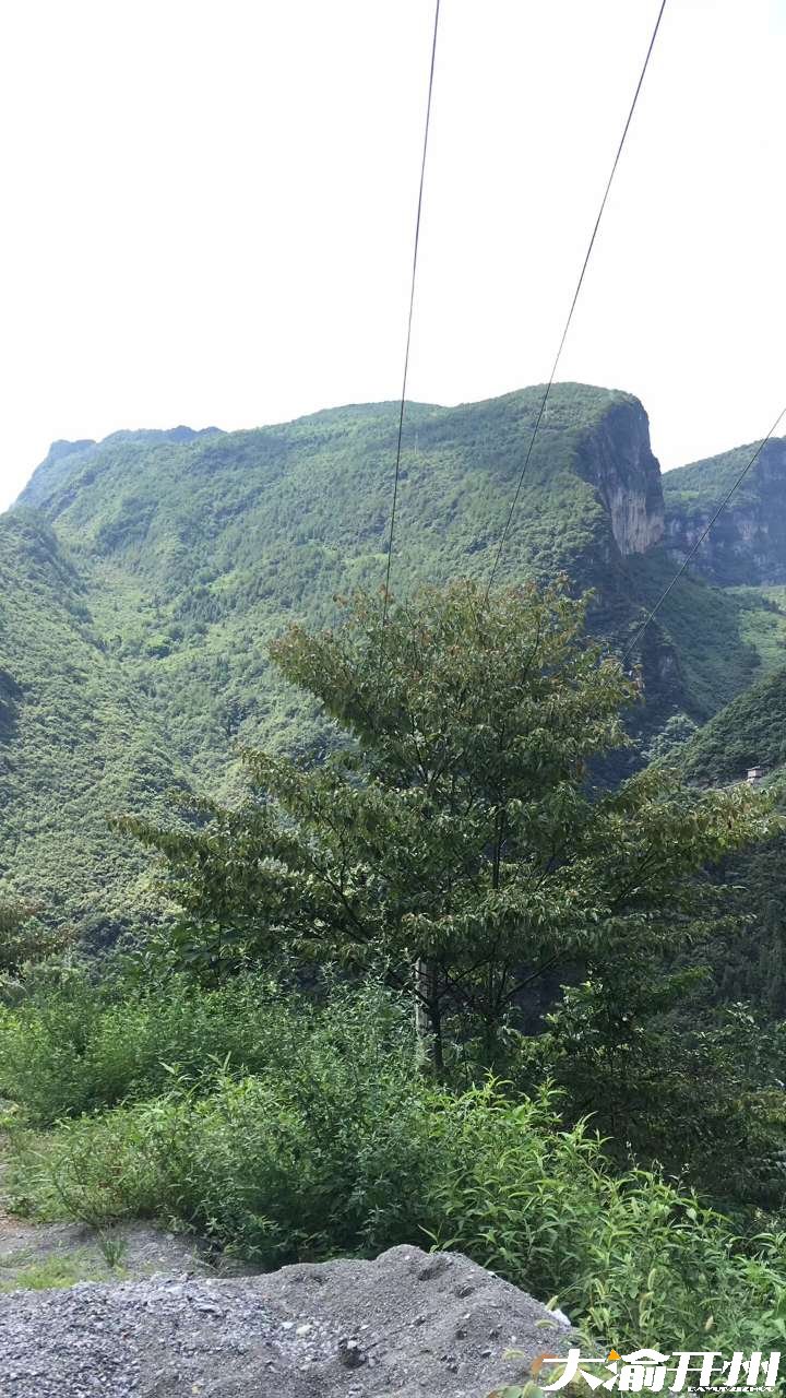 敢问此山有多高【雷火电竞首页】(图2)