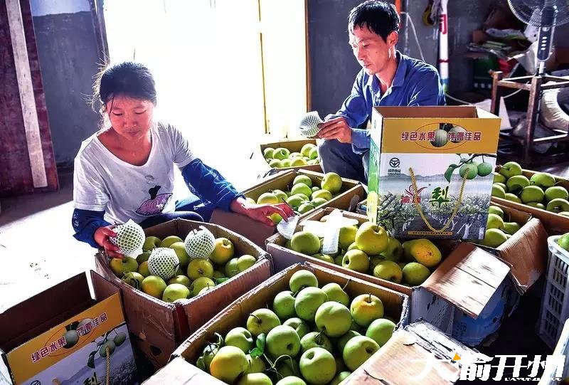 开州迎来丰收季！各类水果让人尽享采摘乐“Kaiyun官方网”(图1)
