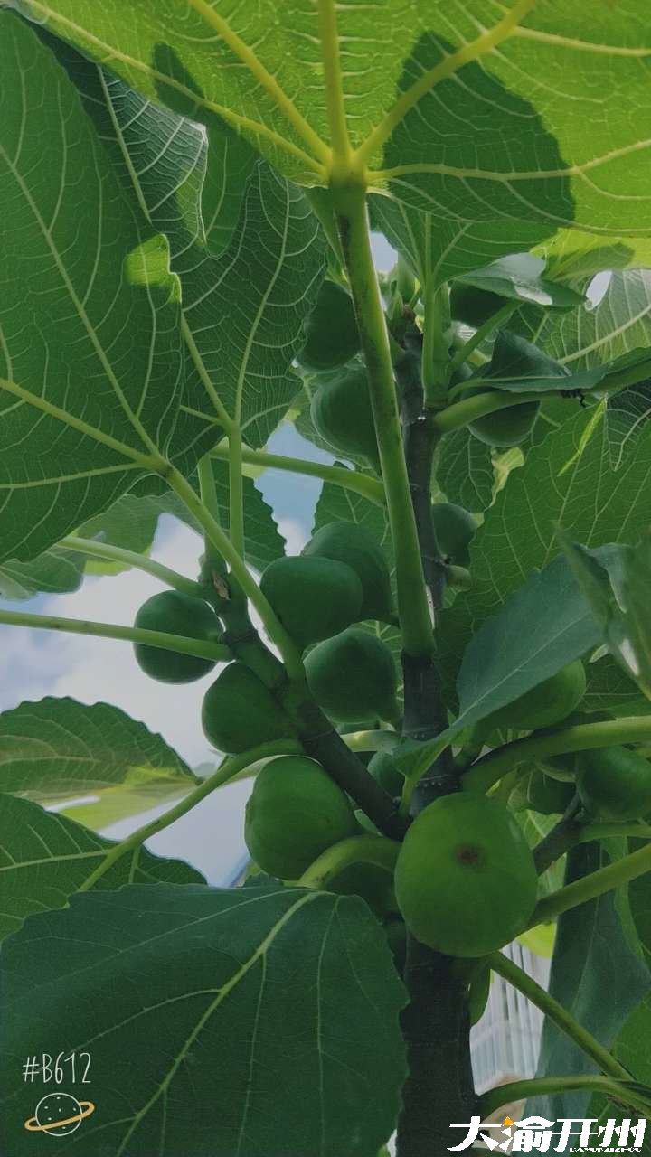 20180830_10225_1535644408992.jpg