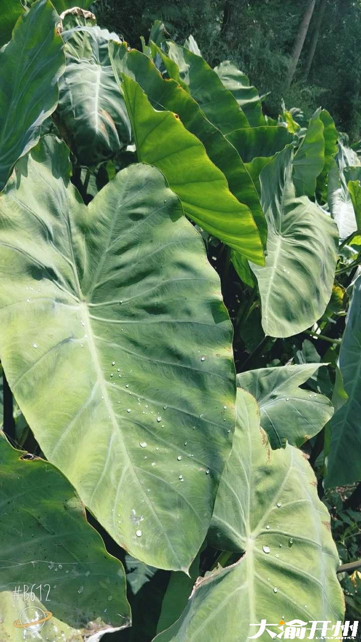 20180830_10225_1535644409260.jpg