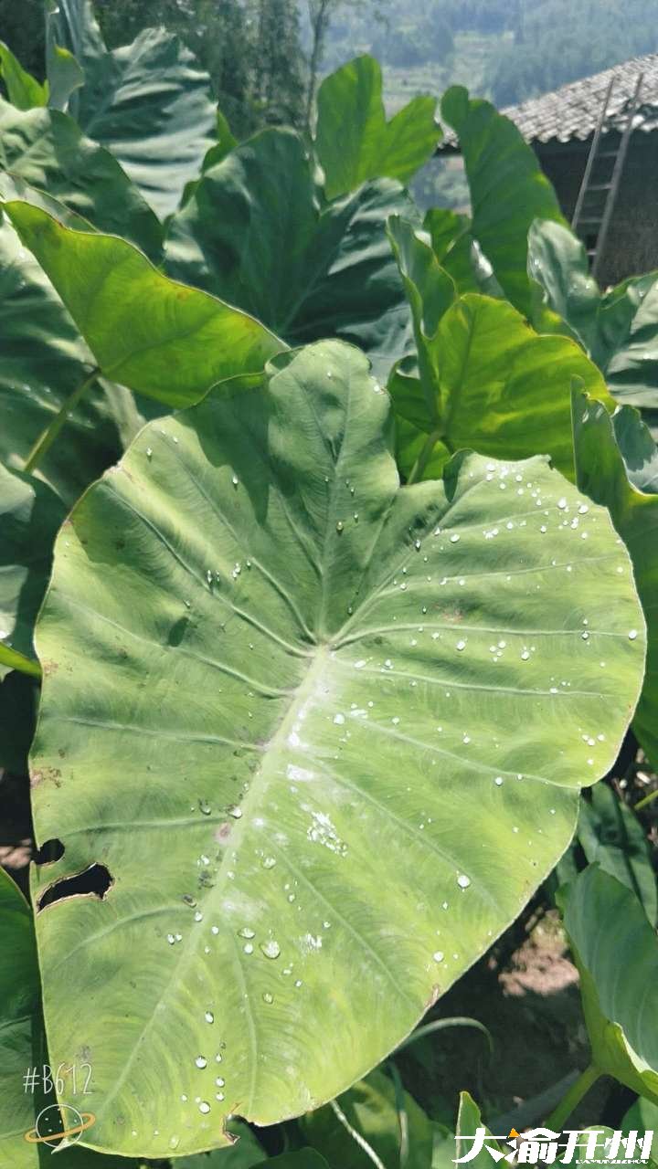 20180830_10225_1535644409328.jpg