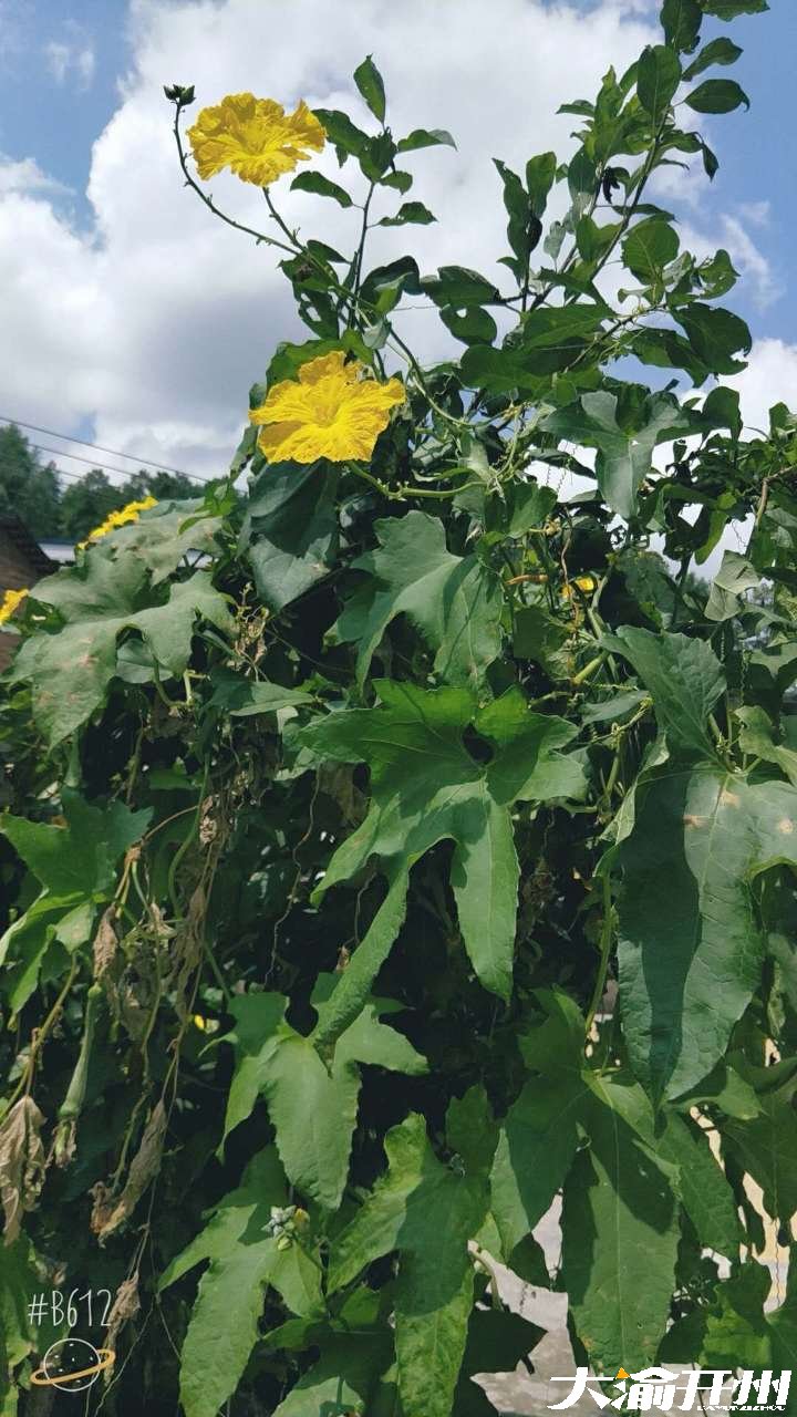20180830_10225_1535644409133.jpg
