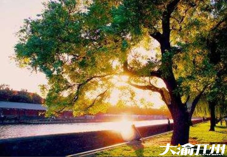 微信图片_20181006143330.jpg