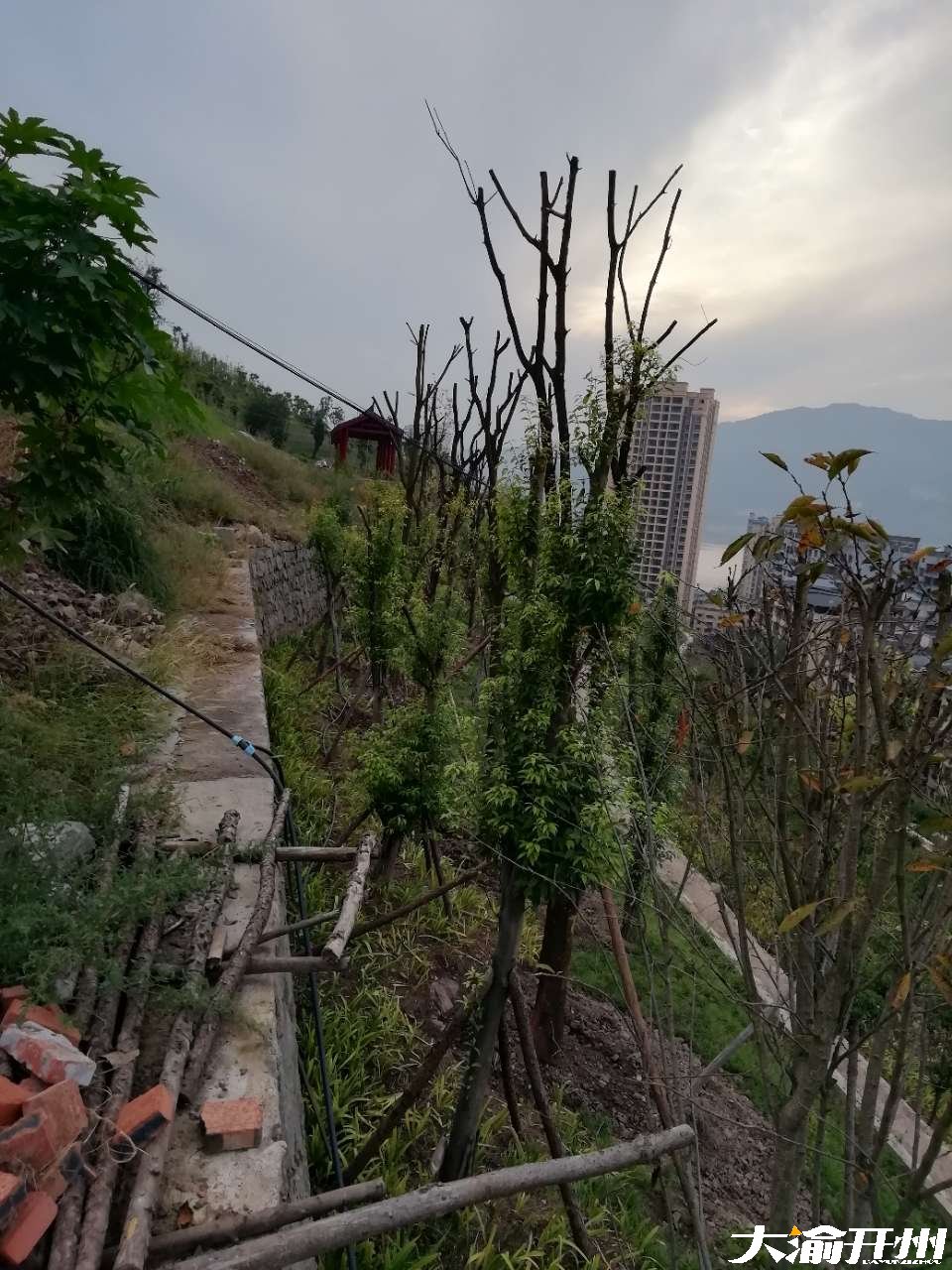 ‘雷火电竞首页’正在如火如荼兴建的“飞鹰堡”公园，已初具雏形(图7)