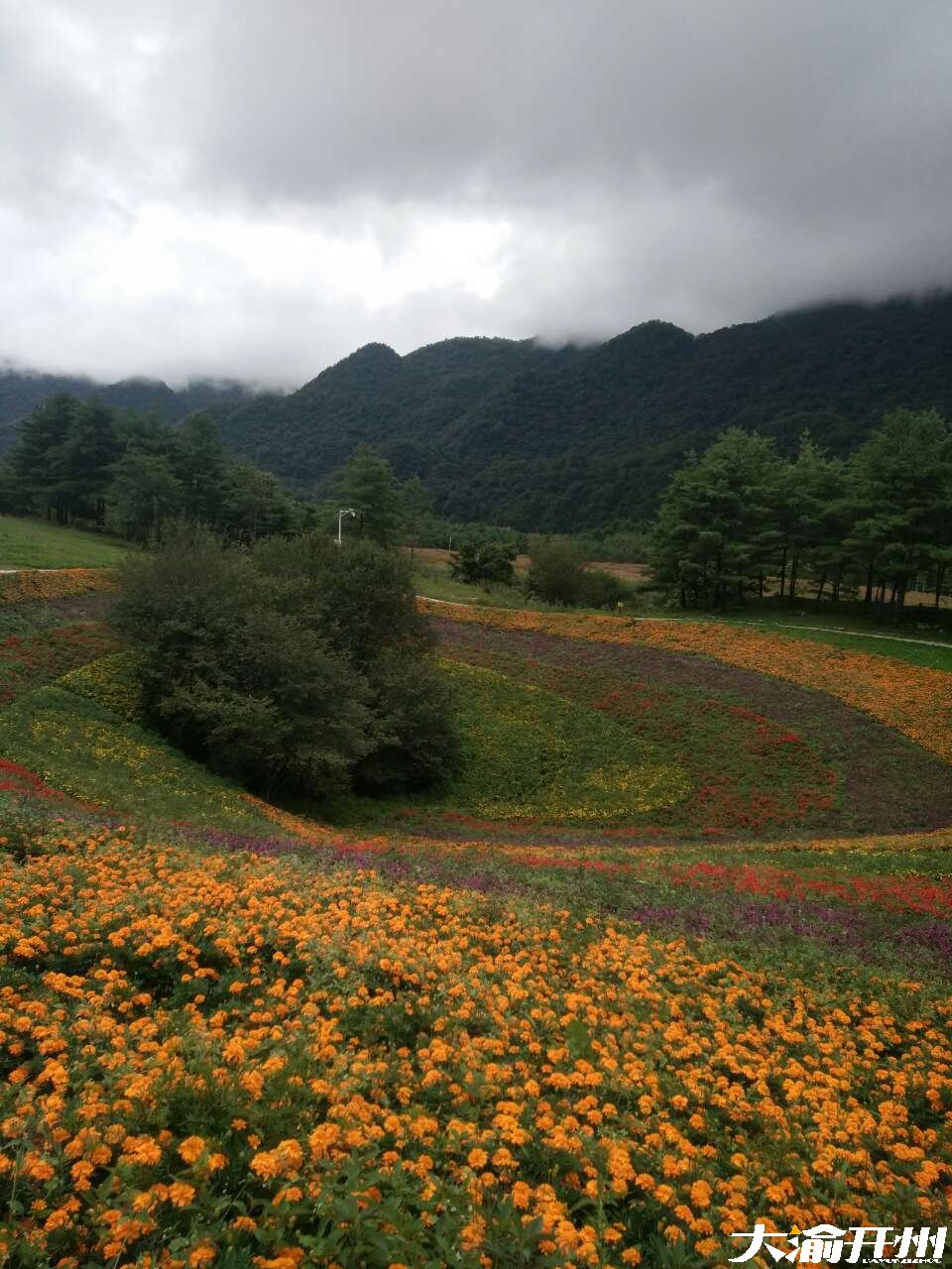 【雷火电竞首页】今天下雨了，变温了，大家注意加衣服哦(图1)