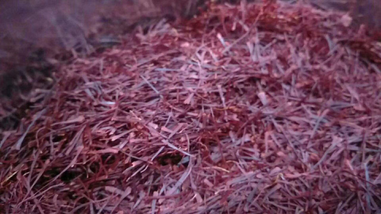 20181022551241540203370392067.jpg