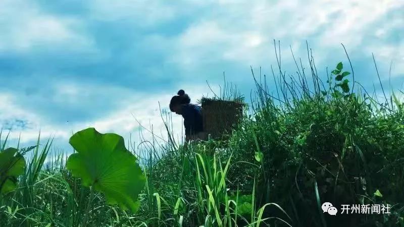 ‘泛亚电竞’开州女子辞职回乡拍三农短视频，倾情助力脱贫成网红