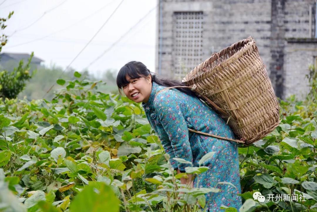 开州女子辞职回乡拍三农短视频，倾情助力脱贫成网红|泛亚电竞官网(图4)