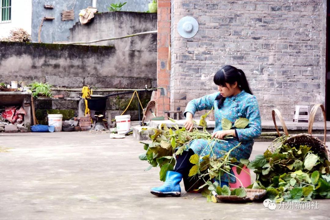 半岛官方下载地址|开州女子辞职回乡拍三农短视频，倾情助力脱贫成网红(图7)