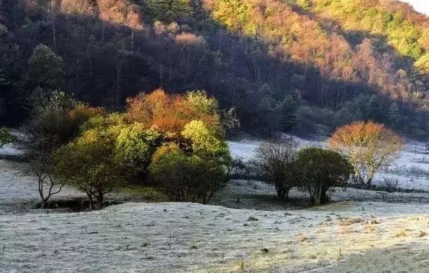 彩林与白雪共存， 雪宝山等地绚烂秋景秒变冰雪童话世界：泛亚电竞(图5)