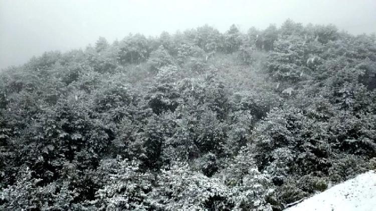 彩林与白雪共存， 雪宝山等地绚烂秋景秒变冰雪童话世界-j9九游会官方登录(图20)