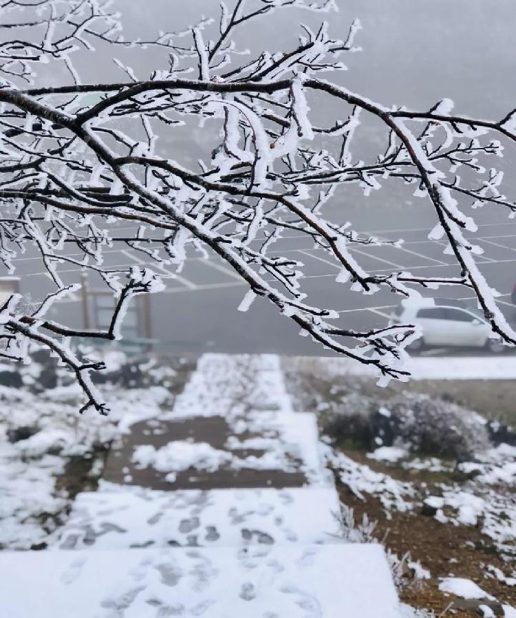 彩林与白雪共存， 雪宝山等地绚烂秋景秒变冰雪童话世界：泛亚电竞(图8)