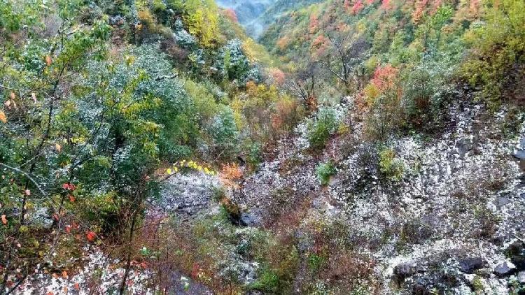 彩林与白雪共存， 雪宝山等地绚烂秋景秒变冰雪童话世界：泛亚电竞