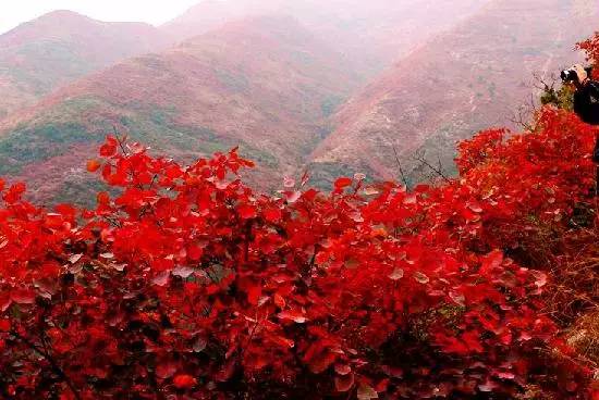 雷火电竞在线登录官网-彩林与白雪共存， 雪宝山等地绚烂秋景秒变冰雪童话世界(图9)