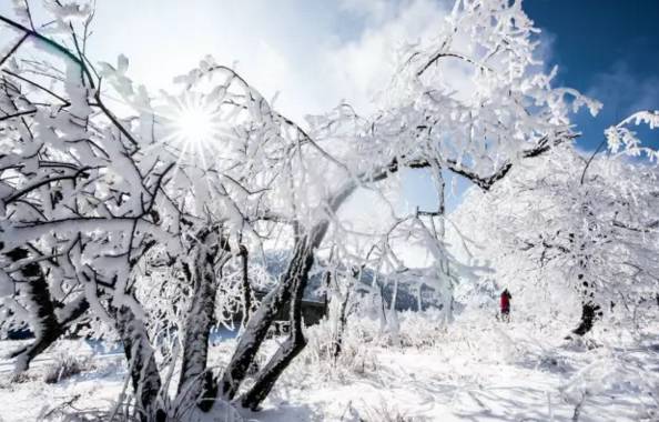 雷火电竞在线登录官网-彩林与白雪共存， 雪宝山等地绚烂秋景秒变冰雪童话世界(图4)