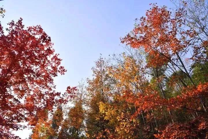 微信图片_20181123194626.jpg