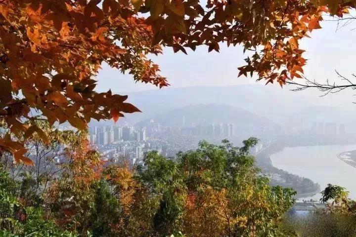 微信图片_20181123194723.jpg