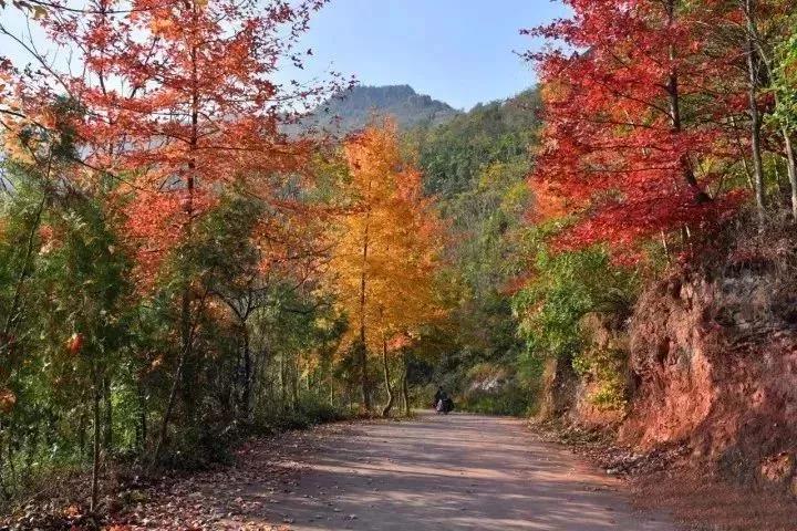 微信图片_20181123194747.jpg
