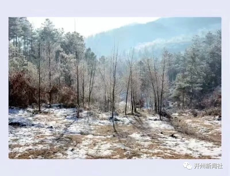 泛亚电竞官网-银装素裹的美丽童话世界！开州醉美雪景，你见过吗？(图6)