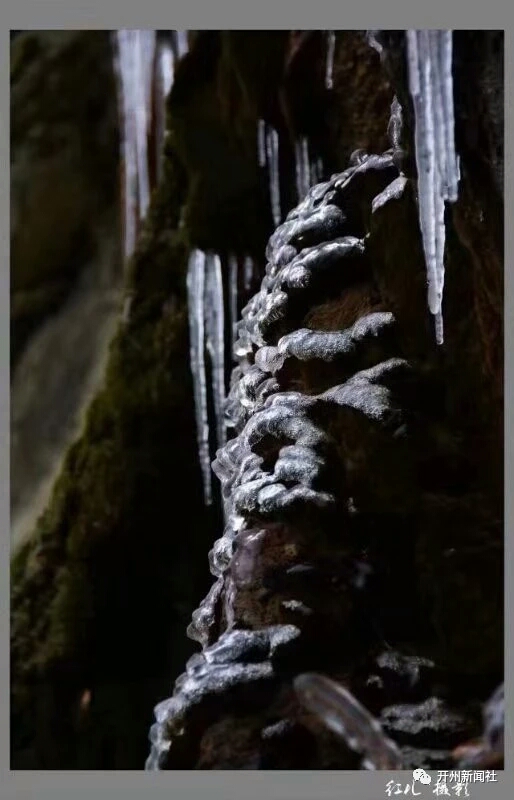 泛亚电竞官网-银装素裹的美丽童话世界！开州醉美雪景，你见过吗？(图5)