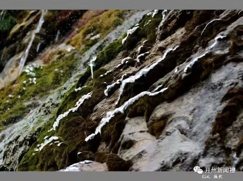 半岛官网App下载：银装素裹的美丽童话世界！开州醉美雪景，你见过吗？(图12)