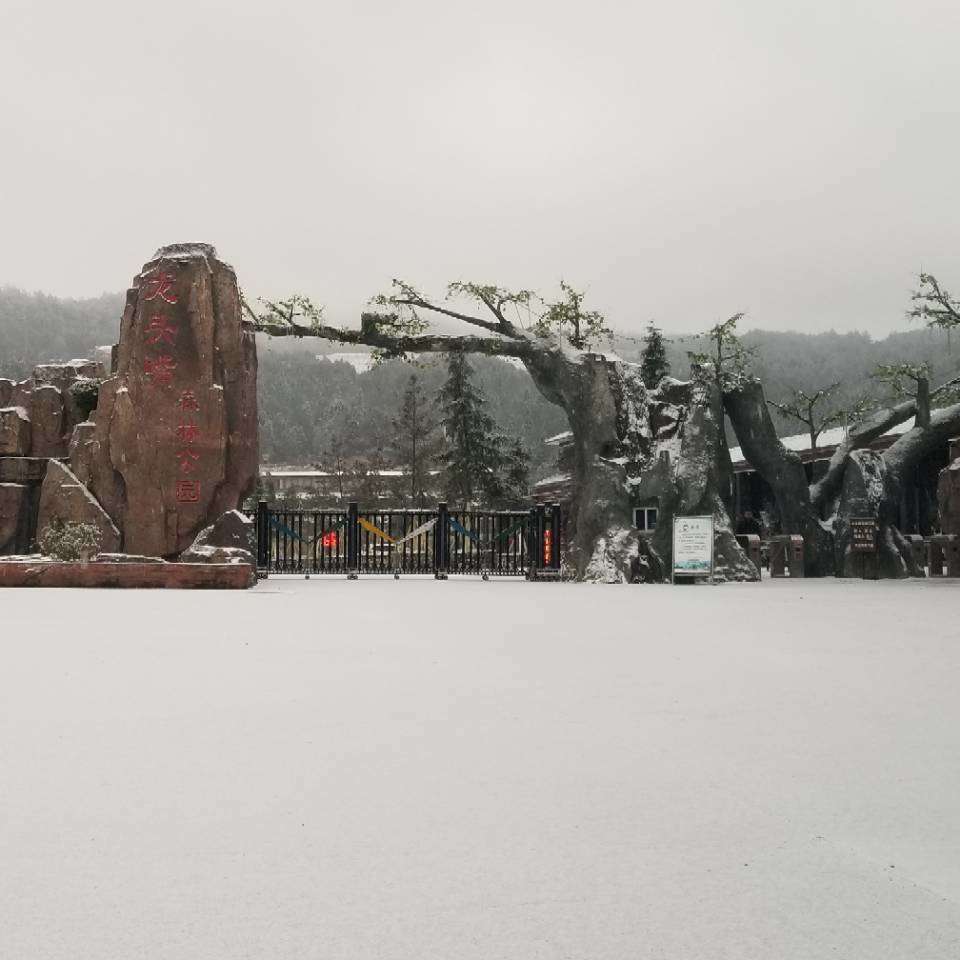‘博鱼·体育中国入口’瑞雪兆丰年，开州龙头嘴森林公园迎来了跨年的第一场雪！(图1)