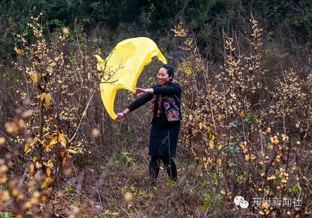 ‘半岛官网App下载’美美美！开州的雪还没欣赏完，腊梅的香也闻到了！你...(图8)