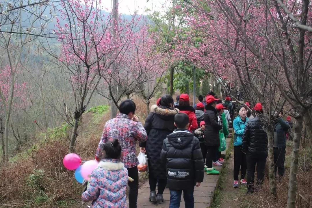 雷火电竞在线登录官网_开州登高千年民俗文化节正月初九启幕，十项活动给你全...(图7)