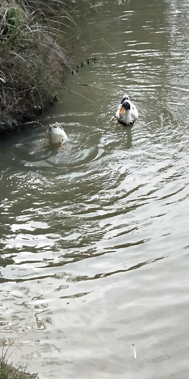 20190207_64122_1549517074021.jpg