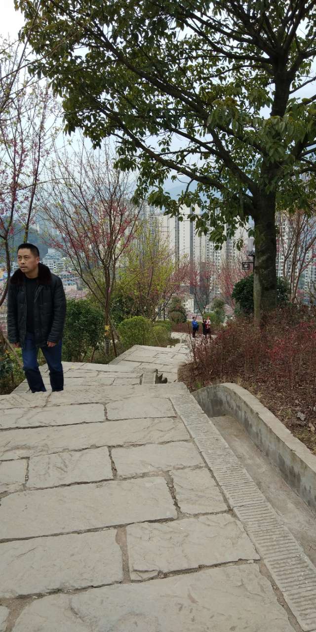 “南宫28登录入口”飞鹰堡公园靓点，谁说只见荒凉没有花香？(图1)