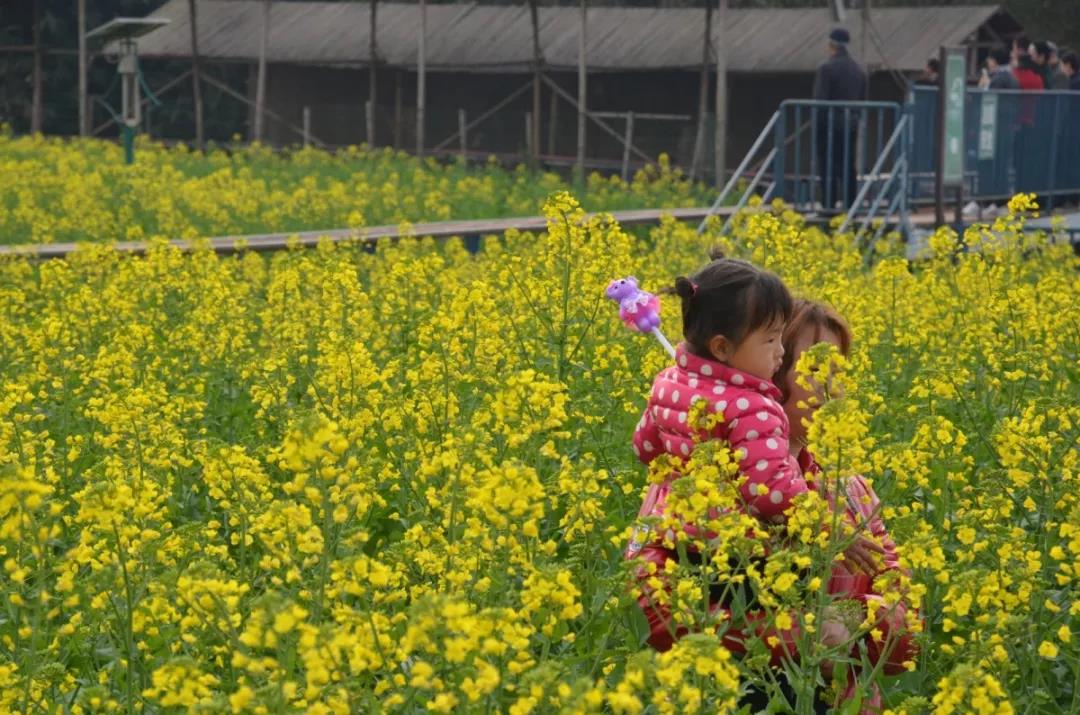 开州人春天一定要做的15件事，哪一件不做都是遗憾【泛亚电竞官方入口】(图4)