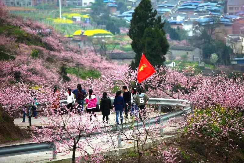 开州人春天一定要做的15件事，哪一件不做都是遗憾|泛亚电竞官方入口(图18)