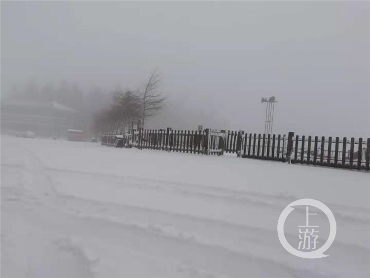 ‘泛亚电竞官方入口’开州周边游｜仙女山下雪了，积雪厚度约10㎝,周末滑雪去(图3)