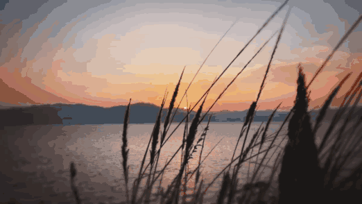 微信图片_20190309212830.gif