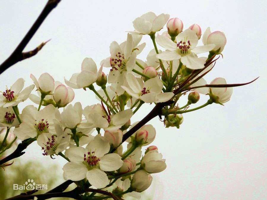 20190310_4600_1552197909569.jpg