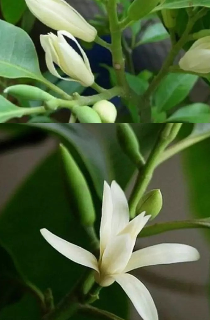 20190310_4600_1552197908421.png