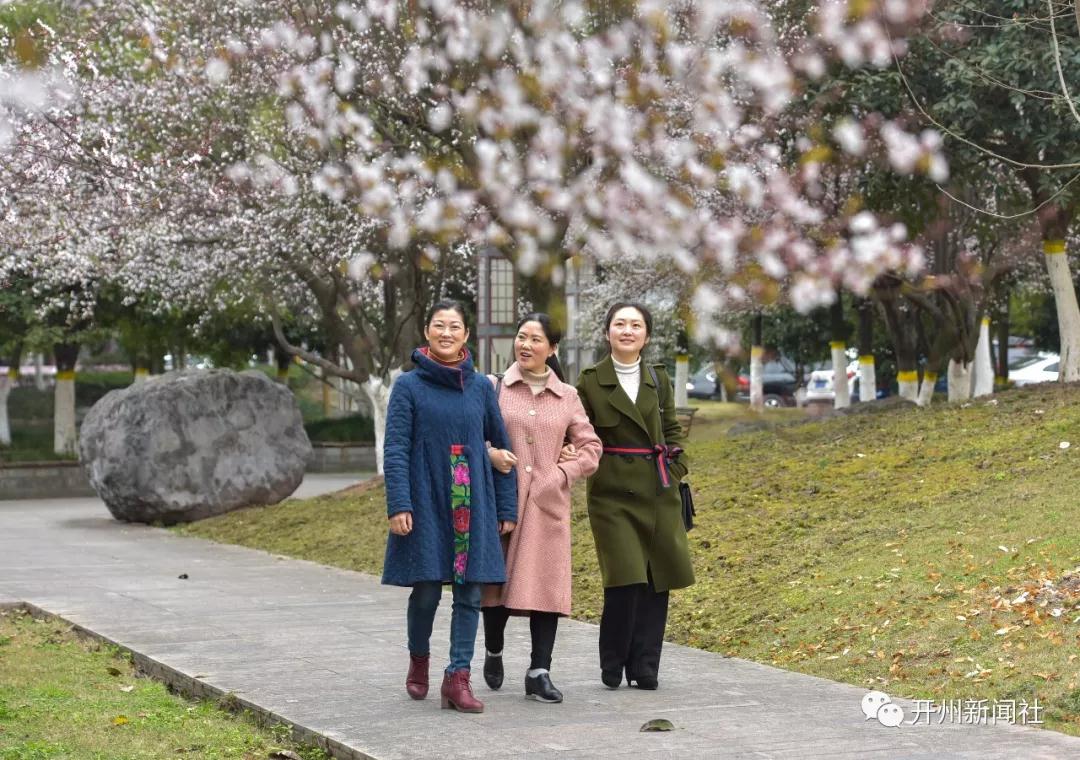 泛亚电竞-美女用镜头拍下的汉丰湖的花，你都认得吗？(图5)