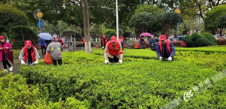 开州30名志愿者走进公园参与体验园林工人活动“江南JN体育登录入口”