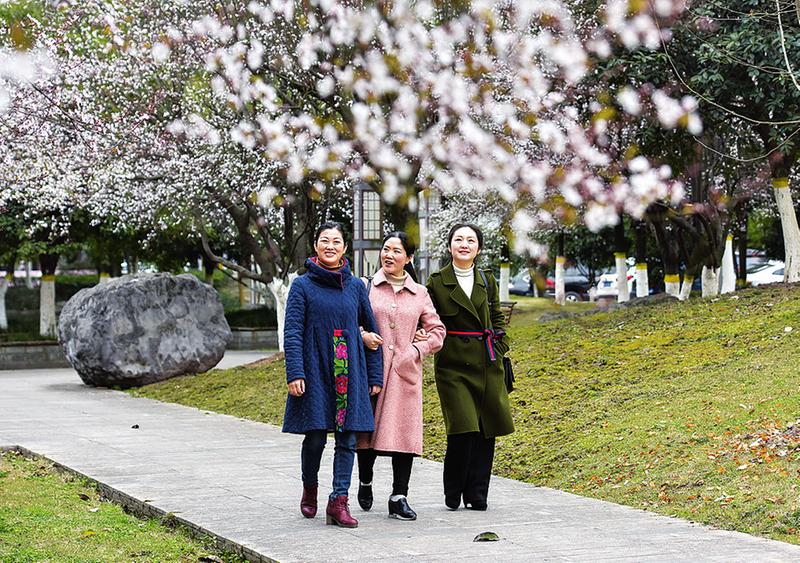 “雷火电竞首页”开州城区有八大公园，每一个公园都很美！(图3)