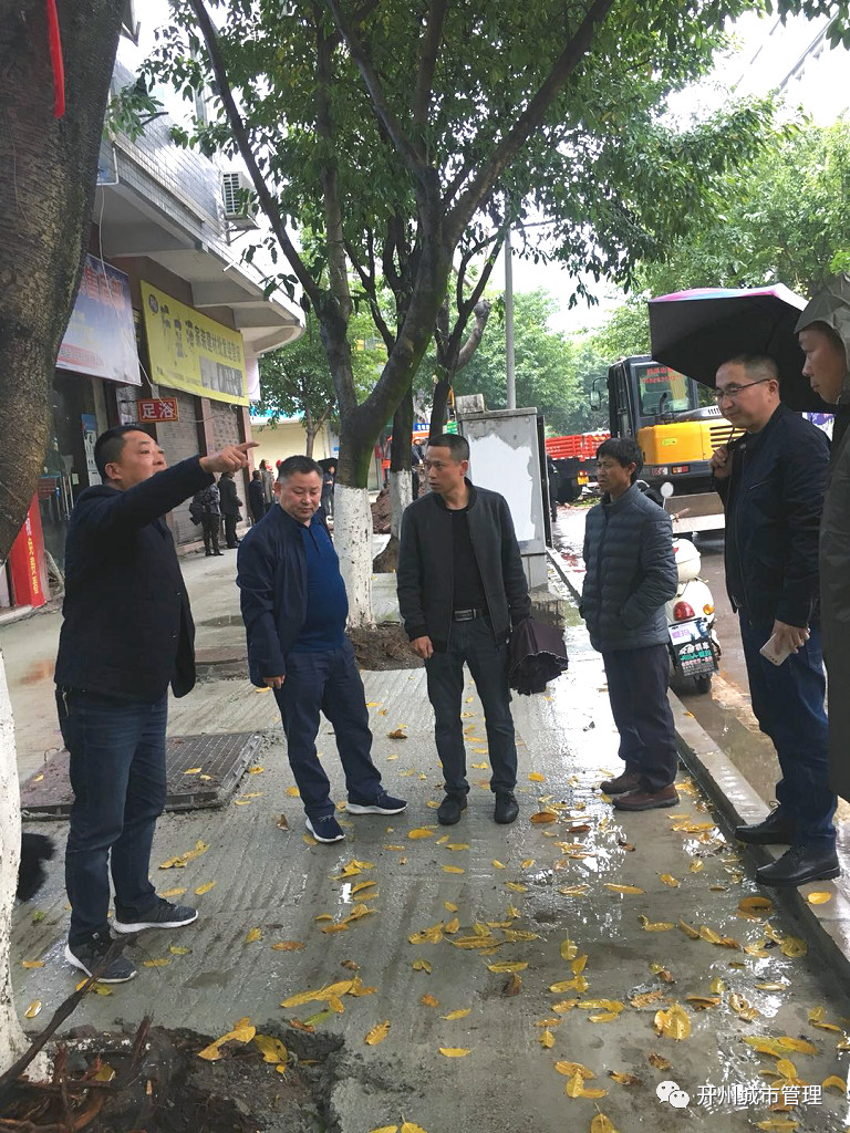 ng28官网登录入口-前几天暴雨导致永宁街、汉丰街3株行道树被吹倒，幸好...(图1)