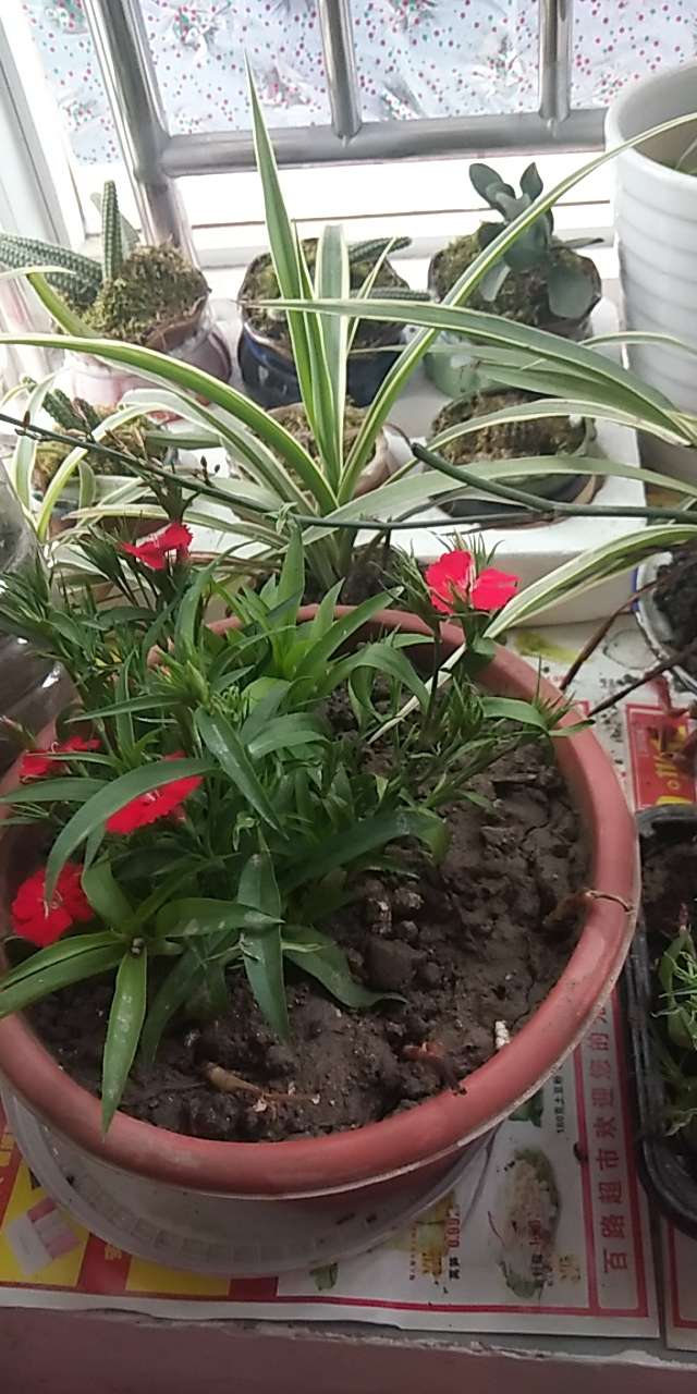 20190403_4600_1554258881325.jpg