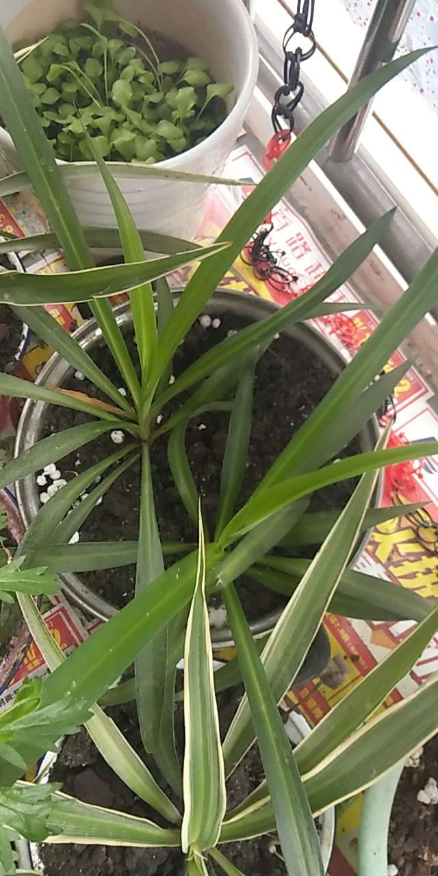 20190403_4600_1554258881473.jpg