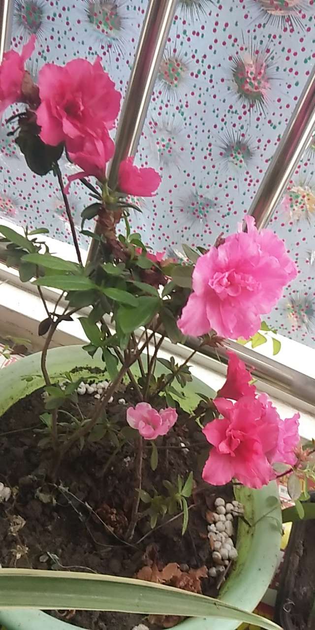 20190403_4600_1554258881754.jpg