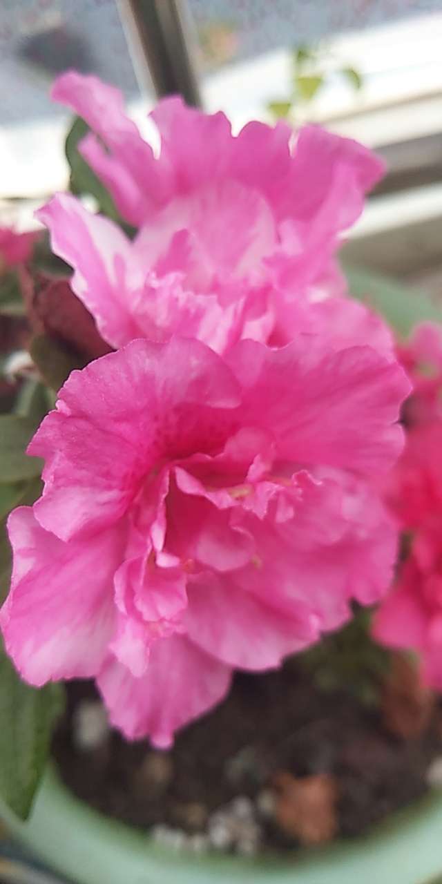 20190403_4600_1554258881869.jpg