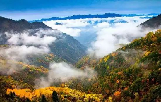 ‘pg娱乐电子游戏官网APP下载’重庆这7个国家级自然保护区 开州有一个美到绝无仅有(图1)