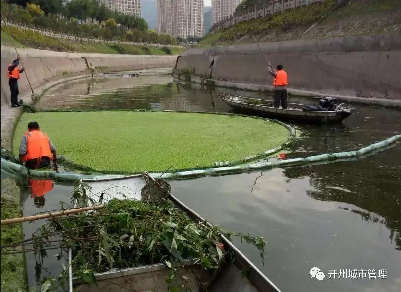 Kaiyun官方网-城区平桥河道进行了清漂工作，清除青浮萍40余吨(图2)