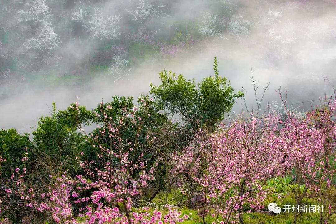 原来在开州可以拍出这么美得照片，看不过瘾！“雷火电竞在线登录官网”(图5)