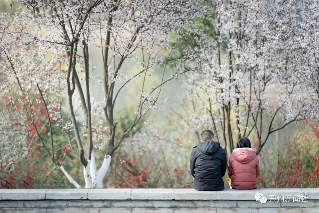 原来在开州可以拍出这么美得照片，看不过瘾！“雷火电竞在线登录官网”(图10)