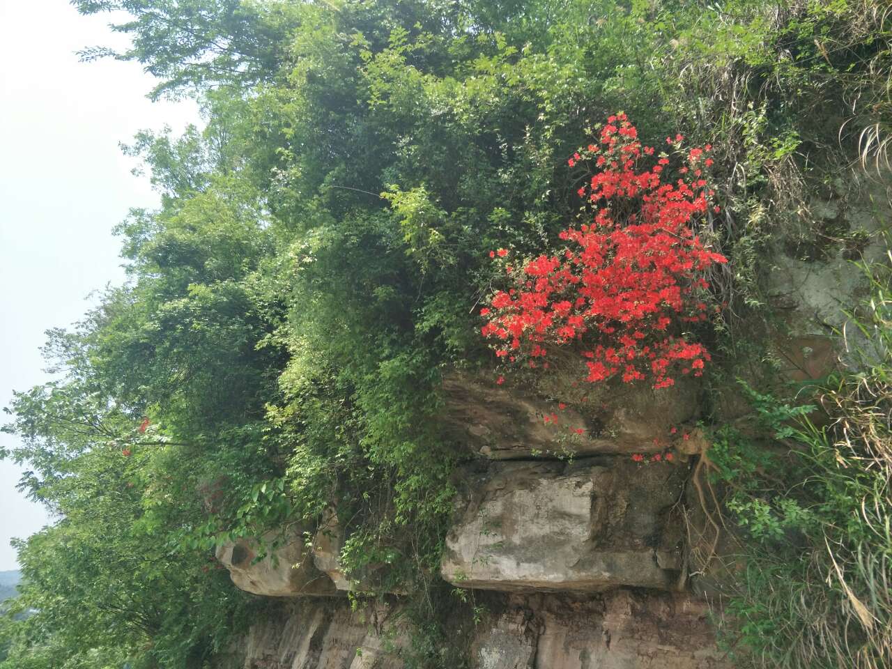 20190429_398_1556517462963.jpg