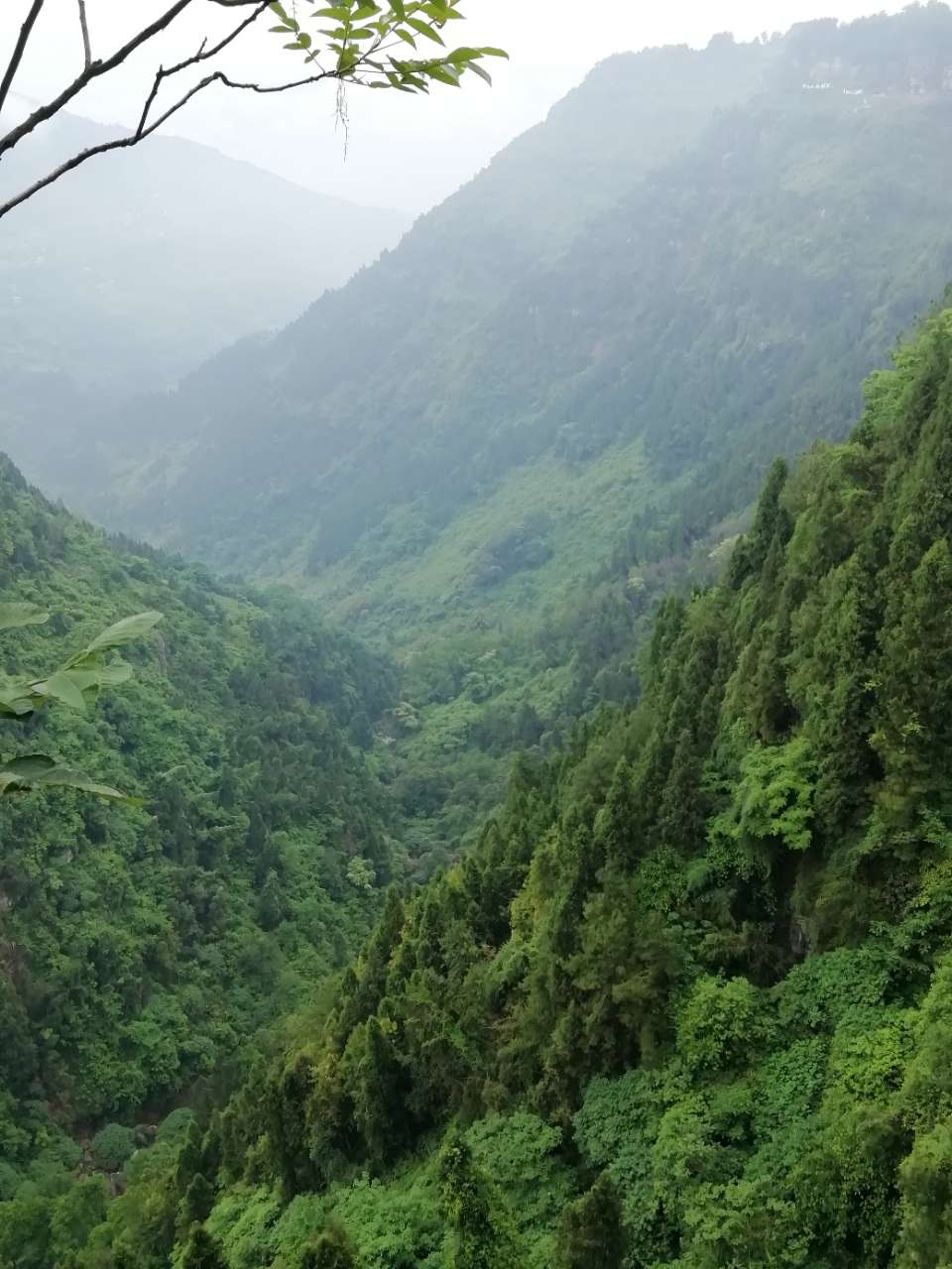 开州大德仁和七彩观光园，一个集自然风景与人造景观于一体的休闲地！：澳门永利官网(图3)